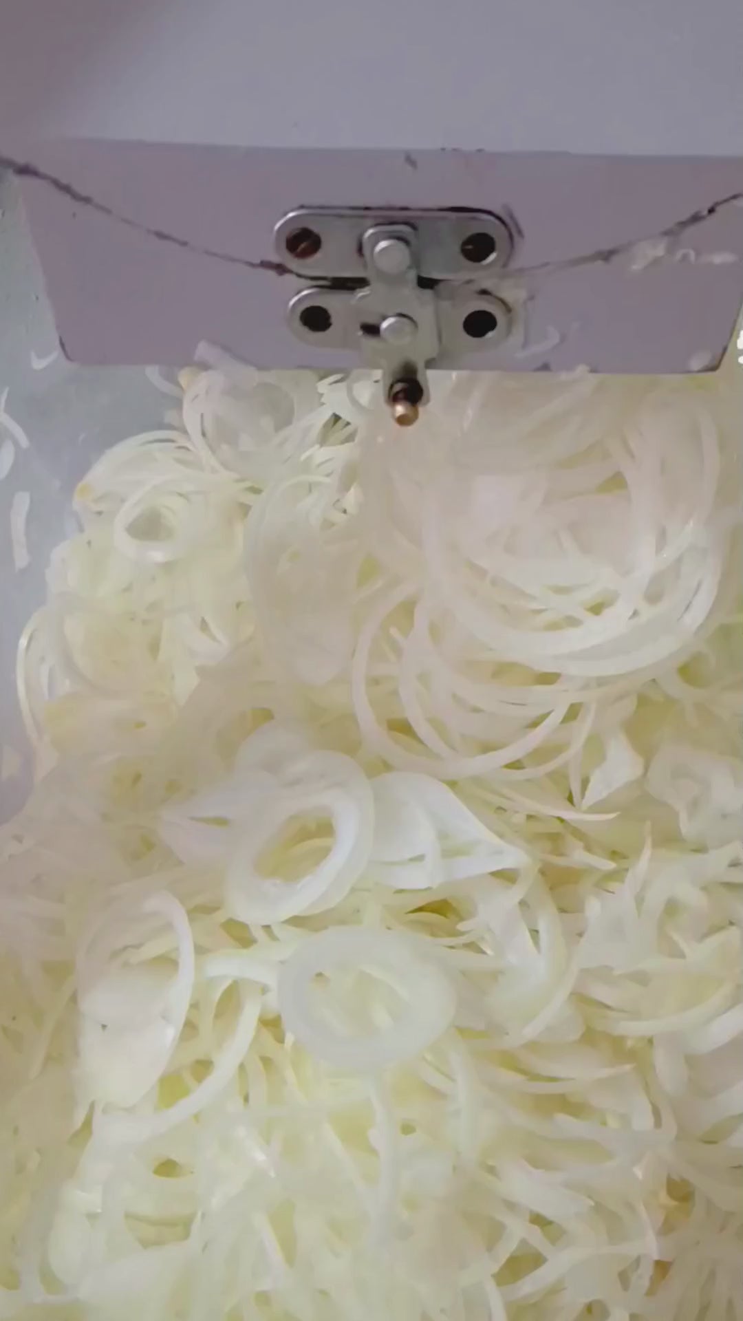 Proceso de corte de cebolla blanca en juliana en Los Nietos Vegetales.